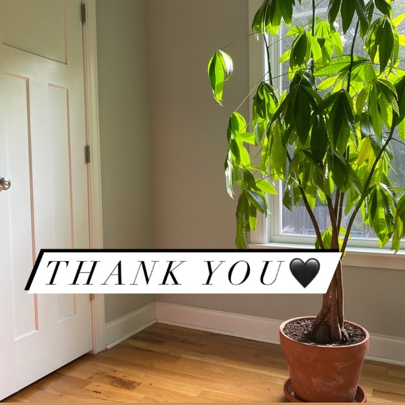 Hey, I’m Kate! - Picture 7 of 7